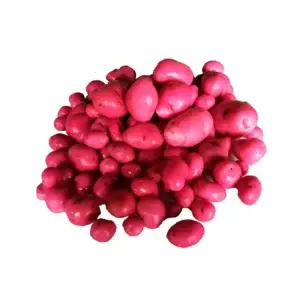 Chuguas – Libra (500g) Chuguas - Libra (500g) - FruverDeCampo