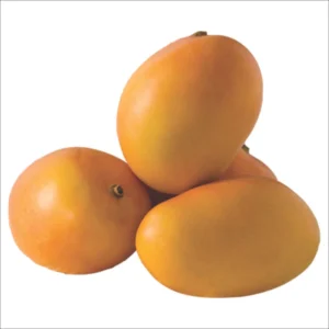 Mango Azucar – FruverDeCampo