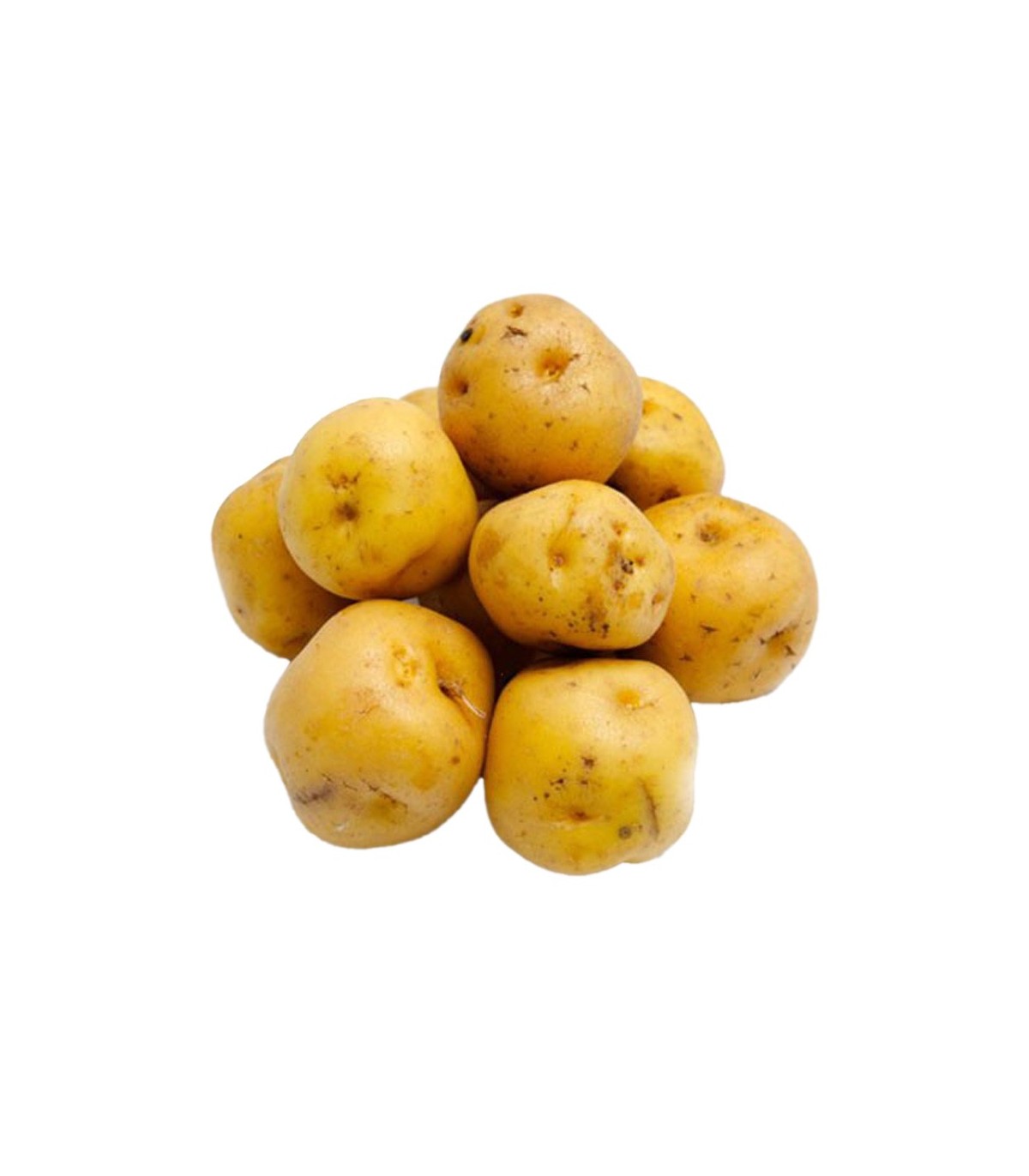 Papa Criolla – Libra (500g) Papa Criolla - FruverDeCampo