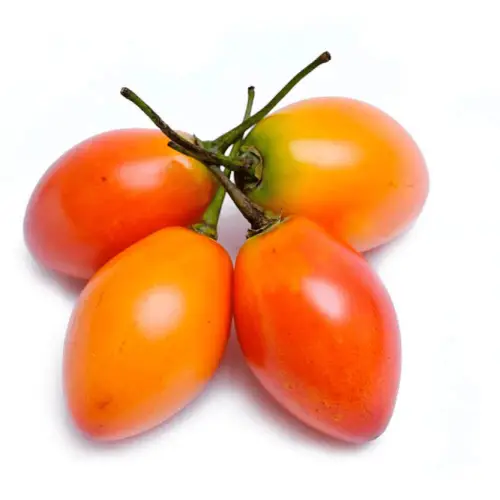 Tomate de Árbol - Libra (500g) - FruverDeCampo